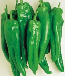 Spanish Spice Pepper Seeds - The Pepper Pantry (Formerly Marie Sharp's)